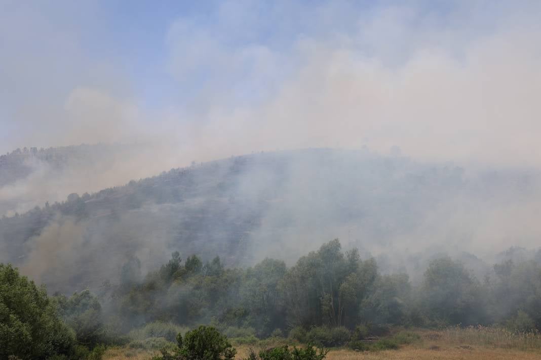 Elazığ'da orman yangını 49